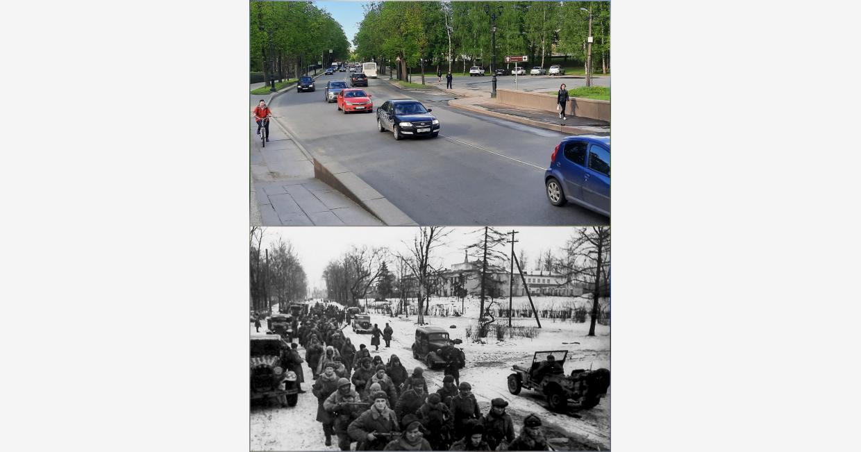 gatchina siege of leningrad 1944 ww2 liberation