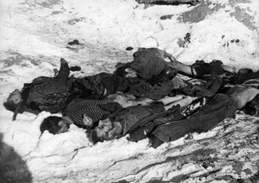 Soviet dead POWs Stalingrad