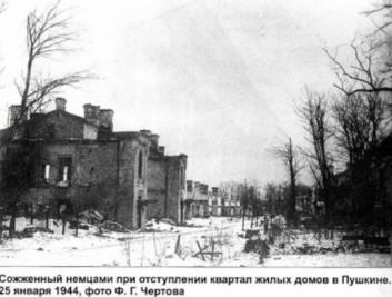 Pushkin after the liberation