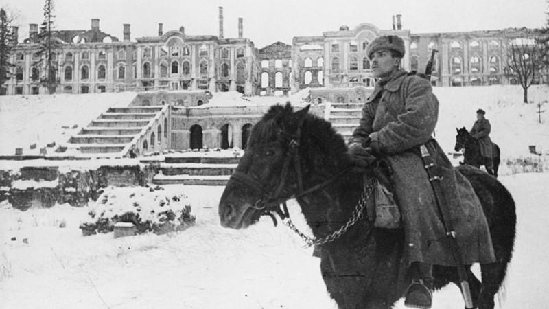 Кавалерист Петергоф 1944