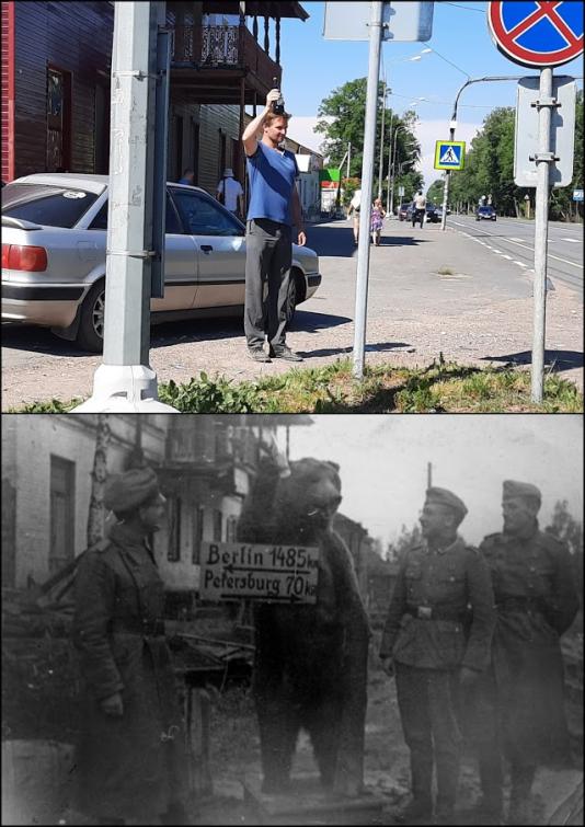 медведь рождествено